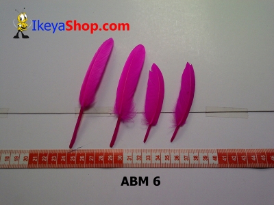 bulu angsa mini ABM 6   feather  large2